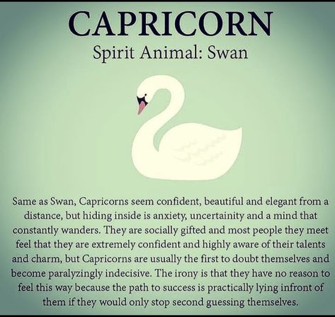 Spirit Animal Zodiac Signs, Capricorn Spirit Animal, Hugging Drawing, Capricorn Personality, Pisces Personality, Astrology Capricorn, Healing Verses, Libra Quotes Zodiac, Capricorn Love