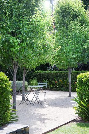 Yard Privacy, Hedge Plants, Moderne Have, Garden Hedges, Privacy Plants, Privacy Landscaping, Garden Walkway, Backyard Garden Design, Garden Landscape Design