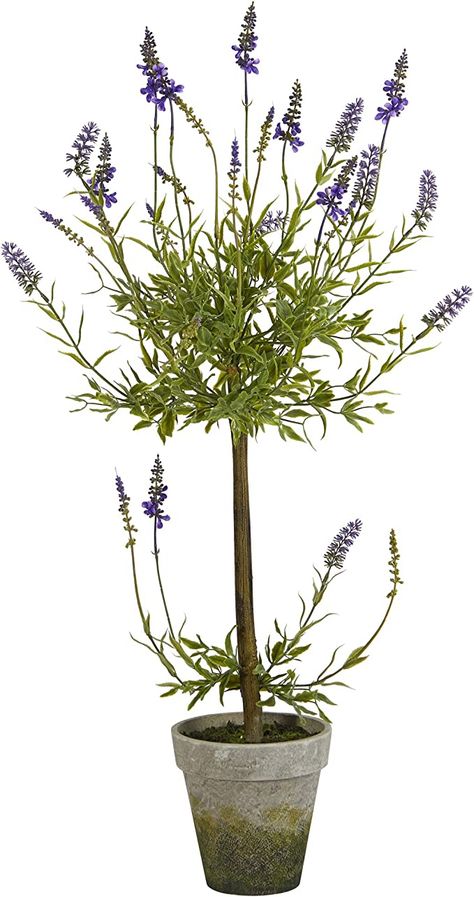 Amazon.com - Nearly Natural 34in. Lavender Topiary Artificial Silk Trees, Purple - How To Plant Lavender, French Lavender Plant, Lavender Topiary, Lavender Tree, Lavender Care, Plant Lavender, Potted Lavender, Spanish Lavender, Organic Insecticide