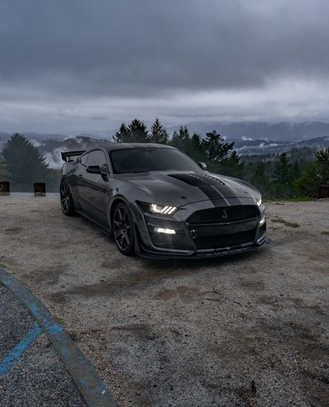 Friend Sketches, Best Friend Sketches, Car Obsession, Ford Mustang 2015, Ford Mustang Shelby Gt, Mustang Wallpaper, Mustang Gt500, 2015 Mustang, Shelby Gt