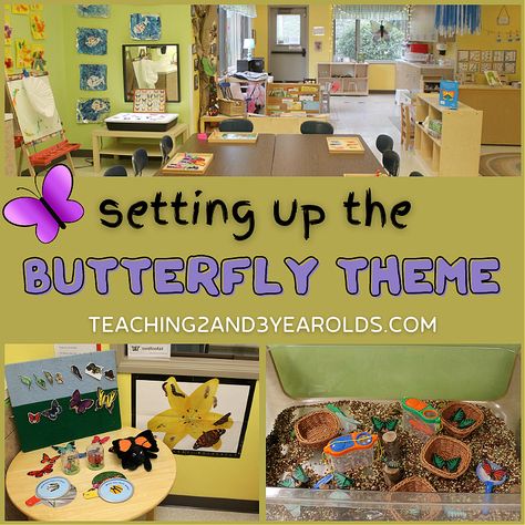 Setting up the Classroom for the Butterfly Theme Bug Activities Preschool, Preschool Bug Activities, Spring Themed Classroom, Preschool Butterfly Theme, Butterfly Classroom Theme, Butterfly Classroom, Preschool Butterfly, Caterpillar And Butterfly, Butterfly Activities