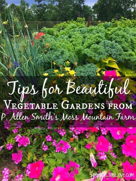 Tips for Beautiful Vegetable Gardens from P. Allen Smith's Moss Mountain Farm Grow Ginger Indoors, Influencer Trip, Growing Ginger Indoors, Moss Mountain Farm, Growing Spinach, P Allen Smith, Growing Ginger, Raised Garden Bed Plans, Organic Gardening Pest Control