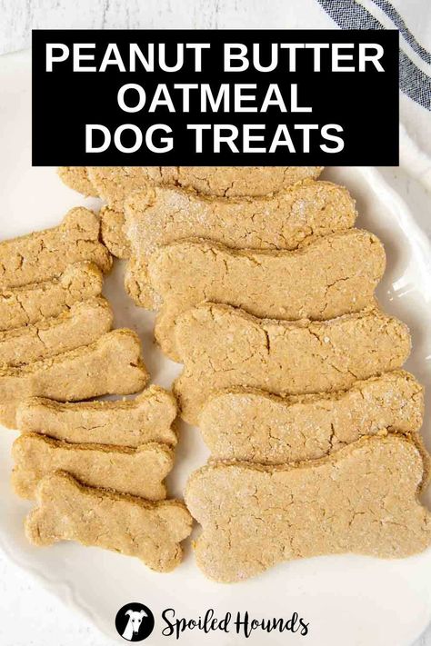 Peanut Butter Oatmeal Dog Treats made with simple ingredients. Get the easy recipe and find out how to make the best oatmeal peanut butter treats for dogs with oats and yogurt. These crunchy homemade dog treats are less expensive than store-bought and have healthy ingredients with no preservatives. #dogtreats #homemadedogtreats #diydogtreats Crunchy Peanut Butter Dog Treats, Oatmeal Peanut Butter Dog Treats, Dog Treats With Oats, Pb Dog Treats, Treats With Oats, Peanut Butter Oat Dog Treats, Peanut Butter Treats For Dogs, Dog Treats With Peanut Butter, Oats And Yogurt