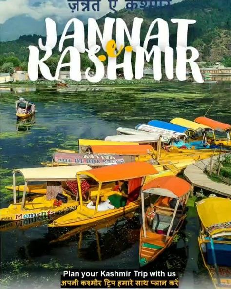 Dal Lake crowded with Shikaras Kashmir Trip, Dal Lake, Travel Company, Jammu And Kashmir, Tourism, Places To Visit, Lake, Holidays, India