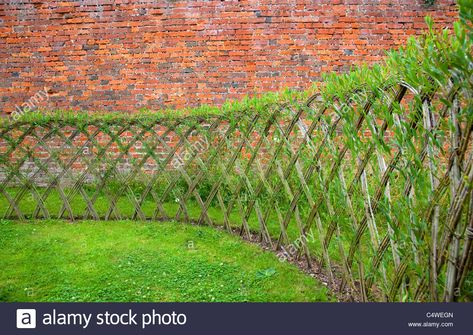 Live Willow Woven Screen Fencing Or Fedge, England, Uk Willow Fence Panels, Living Willow Fence, Cerca Natural, Como Plantar Pitaya, Willow Fence, Willow Garden, Living Willow, Natural Fence, Living Fence