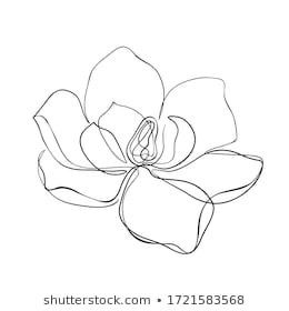 Abstract Magnolia Tattoo, Magnolia Flower Line Drawing, Minimalist Magnolia Tattoo, Magnolia Flower Design, Magnolia Line Tattoo, Magnolia Drawing Tattoo, Magnolia Line Drawing, Magnolia Line Art, One Line Flower Drawing