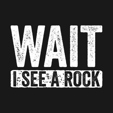 Geology Humor, I Got A Rock, You Changed My Life, Rock Quotes, Htv Projects, Funny Rock, Rock Hunting, The Comeback, Finding Myself