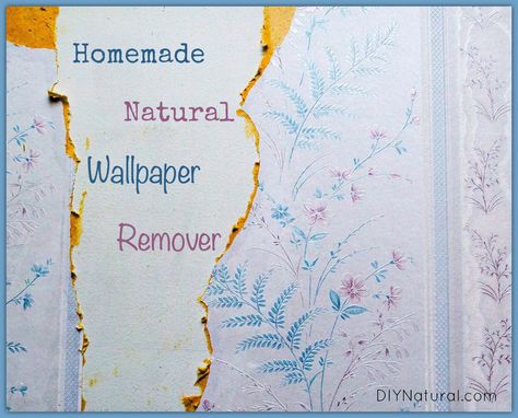 How to Make (and Use) Natural Wallpaper Remover Wallpaper Removal Solution, Wallpaper Remover, Homemade Wallpaper, Wallpaper Removal, Natural Wallpaper, Salon Pictures, Homesteading Ideas, Homemade Laundry Detergent, Upstairs Hallway