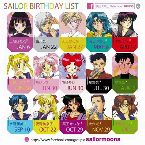 Anime Transformation, Sailor Moon Official, Sailor Birthday, Sailor Moons, Sailor Moon Pin, Sailor Moon Merchandise, Sailor Guardians, Sailor Moon Girls, Sailor Moon Stars