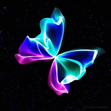 Flying Butterfly GIF - Flying Butterfly Neon - Discover & Share GIFs Rainbow Gif, Butterfly Gif, Beau Gif, Most Beautiful Butterfly, Rainbow Butterflies, Blue Butterfly Wallpaper, طابع بريدي, Cool Optical Illusions, Anime Butterfly