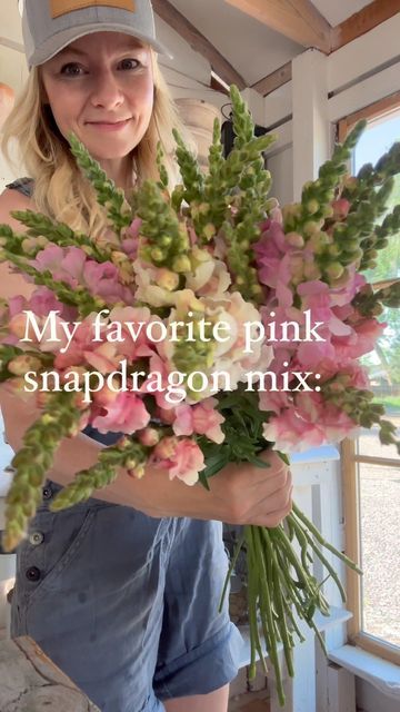 Briana Bosch on Instagram: "Snapdragons are such a fun one to grow, and very easy! The trick is selecting the right varieties, so we always make sure we are selecting snapdragons that are meant specifically for cut flower production—this ensures that we get the tall stems and full blooms to work in a bouquet! They also prefer to establish in cooler temps so we plant them outside (unprotected) 6 to 8 weeks before last frost. Every year I refine the colors I grow and this year I finally got the perfect pink blend down, so I’m here to share it with you—you can thank me by liking and sharing 😉! Pictures here is a mix of bridal pink, Potomac apple blossom, and Potomac lavender. All seeds sourced from @johnnys_seeds Is this a blend of snapdragons you’d want to add to your cut flower garden Snapdragon Flowers Bouquets, Snapdragon Bouquet, Cut Flower Garden, Perfect Pink, Apple Blossom, Bridal Couture, 8 Weeks, Cut Flowers, Color Me