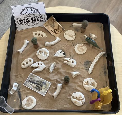 Stone Age Activities Eyfs, Dinosaur School Project, Fossil Project, Dinosaur Bones Craft, Salt Dough Dinosaur Fossils, Dinosaur Dig Site, Air Dry Clay Dinosaur Fossils, Dino Activities, Stone Age Activities