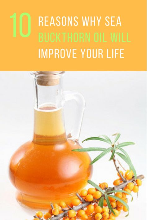 10 Astonishing Sea Buckthorn Benefits That Will Change Your Life.10 well worth it reasons to add sea buckthorn oil in to you diet. Sea Buckthorn Benefits, Buckthorn Seed Oil, Anti Aging Secrets, Sea Buckthorn Oil, Herbal Oil, Oil Benefits, Sea Buckthorn, Best Oils, Foods To Avoid