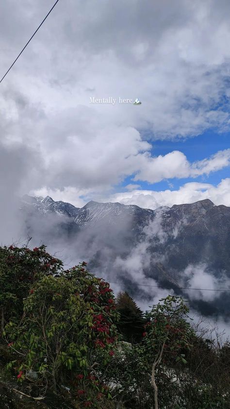 Aesthetic mountain picture, aesthetic quotes, flowers Caption On Mountains View, Nature Mountain Quotes, Orophile Quotes, Quotes For Mountain Views, Pov Mountain Captions, Mountain Aesthetic Captions, Captions For Mountains Pics, Village Caption For Instagram, Village Captions