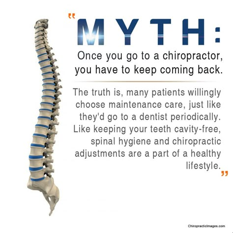 http://www.chiropractororange.com/chiropractic-services/ Dr. Michael Glandorf DC and Dr. Timothy Doering DC of Main Place Chiropractic are committed to bringing you better health and a better way of life by teaching and practicing the true principles of Chiropractic Wellness. Chiropractic Humor, Chiropractic Benefits, Chiropractic Quotes, Chiropractic Marketing, Benefits Of Chiropractic Care, Spinal Health, Chiropractic Clinic, Family Chiropractic, Chiropractic Wellness