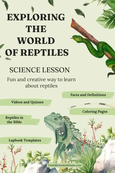 In this lesson, we will take a closer look at what makes a reptile, where they live, etc., and we will even meet some famous reptile friends. Reptile Science Activities, Reptiles Unit Study, Reptile Unit Study, Pictures Of Reptiles, Reptiles Activities, Nature Guide, Lap Book Templates, Study Printables, Science Lesson