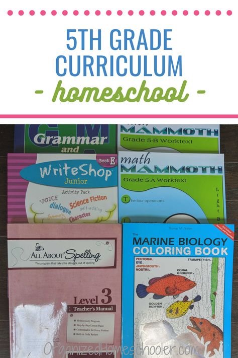 These 5th grade curriculum ideas are a great fit for an eclectic homeschool. They cover all of the core topics - science, math, language arts, history, and geography using hands-on activities, curricula, and books. Plan a great fifth grade homeschool year with these resources. Fifth Grade Homeschool, 5th Grade Homeschool Curriculum, 5th Grade Curriculum, 5th Grade Homeschool, Solsbury Hill, Eclectic Homeschooling, Math Language, Curriculum Planner, Elementary Homeschool