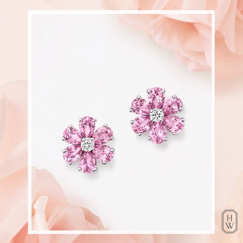 Harry Winston Forget Me Not, Diamond Earrings Indian, Harry Winston Jewelry, Pink Diamond Earrings, Pink Jewellery, Pink Sapphire Jewelry, Pop Clothing, Diamond Chandelier Earrings, Pink Sapphire Earrings