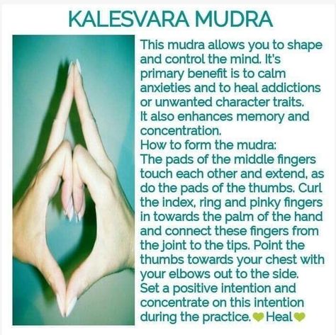 Kalesvara Mudra, Mudras Meanings, Healing Reflexology, Hand Mudras, Yoga Facts, Mantra For Good Health, Yoga Hands, Ayurvedic Healing, Healing Yoga