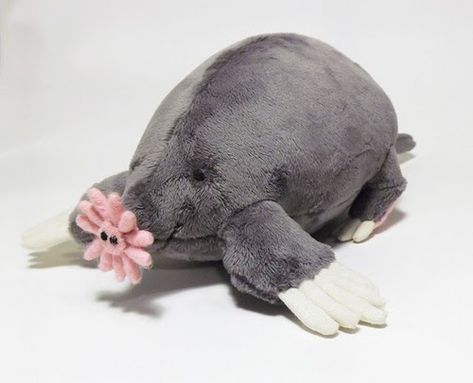 I was commissioned to make a Star-nosed Mole plush toy this summer. Star-nosed Moles are very strange looking creatures. The fleshy star sha... Mole Plush, Star Nosed Mole, Mole Character, Mole Project, Red Moles, Realistic Stuffed Animals, Family Presents, Cute Plushies, Cute Stuffed Animals