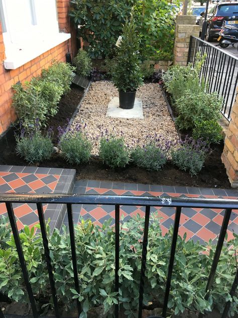 Small front gardens - PLANTING GEMS Victorian House Front Garden, Townhouse Front Garden, Tiny Front Garden Ideas, Small Front Garden Design, Small Front Garden Ideas Uk, Small Back Garden Ideas, Terraced House Front Garden, Small London Garden, Cottage Front Garden