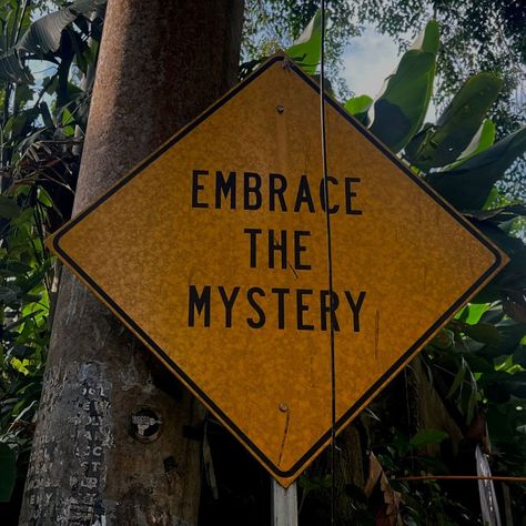 Embrace the mystery sign Embracing The Unknown, Surrender Aesthetic, Connecting Aesthetic, Spiritual Vision Board, Spirituality Aesthetic, Meditation Aesthetic, Creative Vision Boards, Spiritual Aesthetic, Spiritual Being