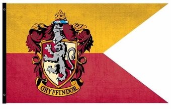 For the proud Gryffindors! Gryffindor Flag, Harry Potter Costume Boys, Hogwarts Decor, Fairy Glen, Harry Potter Wedding, Fantasy Gifts, Harry Potter Costume, Harry Potter Outfits, Harry Potter Christmas