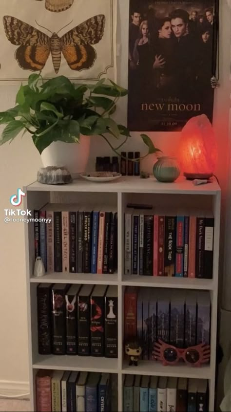 Bedroom Small Bookshelf Ideas, Tiny Bookshelf Ideas, Small Aesthetic Bookshelf, Room Ideas Aesthetic Bookworm, Bookshelf Room Aesthetic, Reader Room Aesthetic, Cute Bookshelf Ideas Bedrooms, Reading Book In Bedroom, Bookshelf In Bedroom Ideas