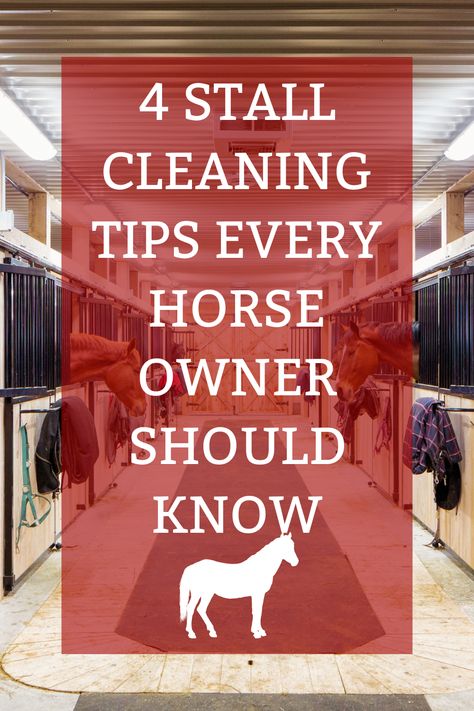 Ensuring your horse has a comfortable place to live is integral to keeping them happy and healthy. Check out our blog for 4 essential stall cleaning tips that every horse owner should know. Horse Stall Ideas Cheap, Horse Stalls Cheap, Easy Horse Stalls, Equine Property, Horse Stall Ideas, Horse Paradise, Stall Cleaning, Modern Equestrian, Barn Hacks