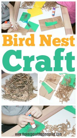 Make this quick & easy bird nest craft with your toddlers and preschoolers! It's absolutely perfect for your next Birds & Eggs theme and is sure to be a huge hit with your little kids! #birds #nests #preschool #processart #invitationtocreate Nest Craft, Summer Crafts For Toddlers, Birds Eggs, Bird Nest Craft, Birds Nests, Easy Bird, Bird Nests, Preschool Craft, Sensory Activities Toddlers