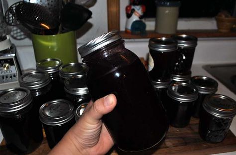 grape syrup Concord Grape Syrup Recipe, Grape Syrup Recipe, Grape Syrup For Pancakes, Grape Syrup Canned, Homemade Canned Grape Juice, Concord Grape Syrup, How To Make Grape Juice From Concord Grapes, Homemade Soda Syrup, Grape Syrup