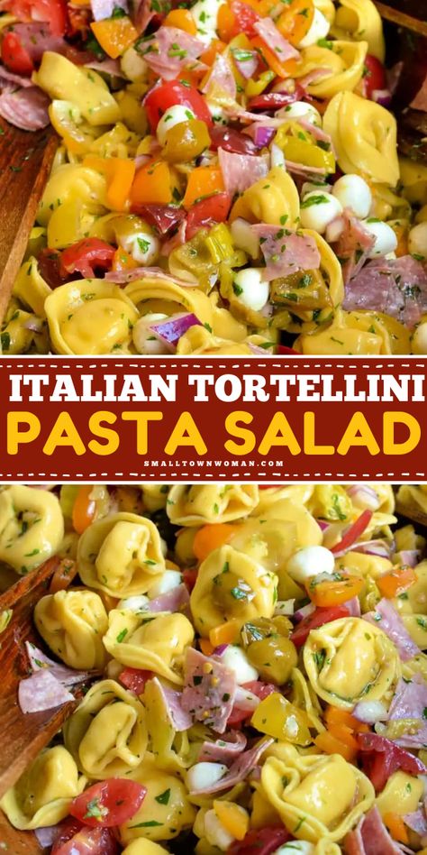 The BEST Italian Tortellini Pasta Salad! It's a simple Memorial Day side dish you don't want to miss. Tossed in a zesty Italian dressing with cheese tortellini and more, this fresh summer salad is delicious! Save this easy spring recipe! Pasta Salad With Cheese Tortellini, Tortalini Pasta Salads, Cold Tortellini Pasta Salad Italian, Cheese Tortellini Pasta Salad Recipes Italian Dressing, Cheese Tortellini Salad Cold, Italian Tortellini Pasta Salad, Italian Tortellini Pasta, Totillinie Pasta Salad, Italian Tortellini