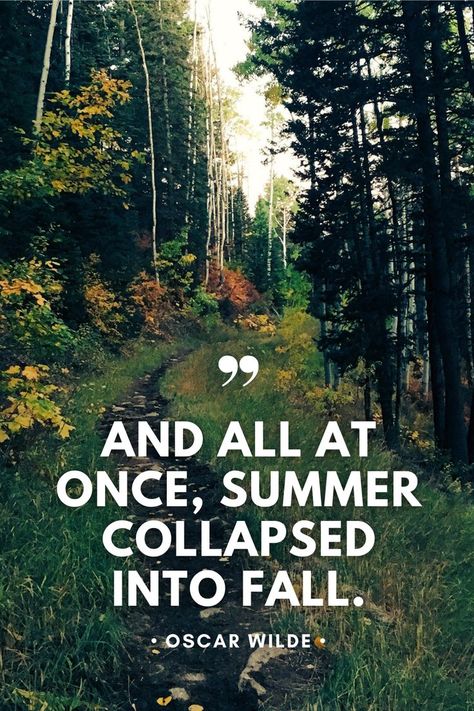 "And all at once, summer collapsed into fall." —Oscar Wilde Inspirational quotes about fall. Fall quotes. Autumn quotes. Quotes About Fall, Fall Quotes Autumn, Summer Collapsed Into Fall, Autumn Quote, Fall Quotes, Autumn Quotes, Oscar Wilde, Inspirational Quotes, Quotes