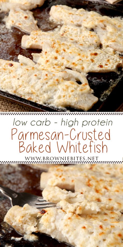 Low Carb Baked Parmesan Whitefish | Brownie Bites Blog Low Carb Low Calorie, Fish Recipes Baked, Fish Dinner Recipes, Seafood Entrees, Healthier Choices, Fish Recipes Healthy, Cooking Seafood, Low Carb Baking, Brownie Bites