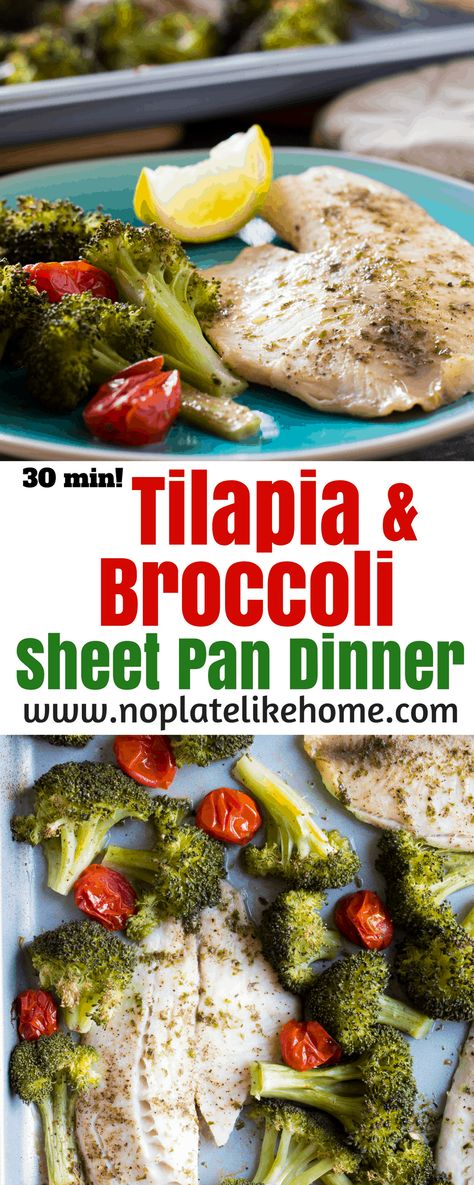 Tilapia & Broccoli Sheet Pan Dinner is an easy-to-make, low-carb, low calorie fish dinner you can make in just 30 min! It is a healthy weeknight dinner. Keto friendly. #tilapia #sheetpandinner Roasted Tilapia, Roasted Grape Tomatoes, Tilapia Recipes, Healthy Weeknight Meals, Healthy Weeknight Dinners, Blogger Photos, Fish Dinner, Mouthwatering Recipes, Favourite Food