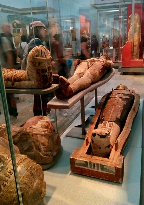 Two Mummies in the British Museum - 305 BC and below, 250 BC. Mummy Museum, Keanu Reeves Interview, Egypt Mummy, Museum Curator, Amenhotep Iii, Egyptian Mummies, Egyptian Style, Architecture Drawing Art, The British Museum