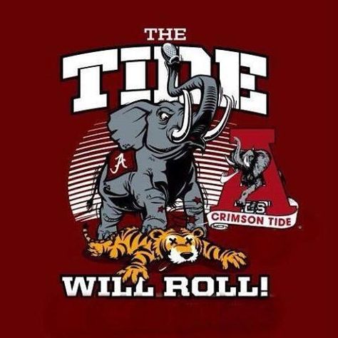 Stomp the tigers!! RTR!! Alabama Football Funny, Alabama Vs Auburn, Alabama Crimson Tide Football Wallpaper, Roll Tide Football, Alabama Football Team, Alabama Crimson Tide Logo, Blaine Anderson, Alabama Football Roll Tide, Crimson Tide Fans