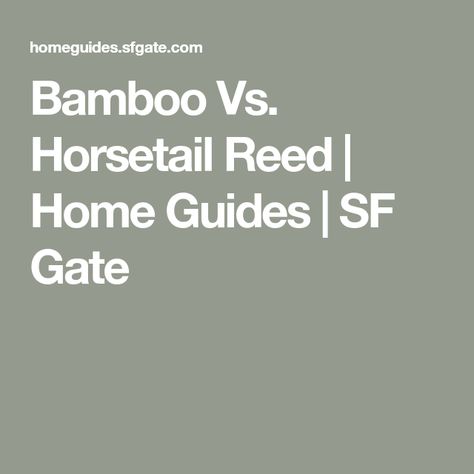 Bamboo Vs. Horsetail Reed | Home Guides | SF Gate Horsetail Reed, Long Planter, Living Fossil, Secret Garden, Agriculture, Gate