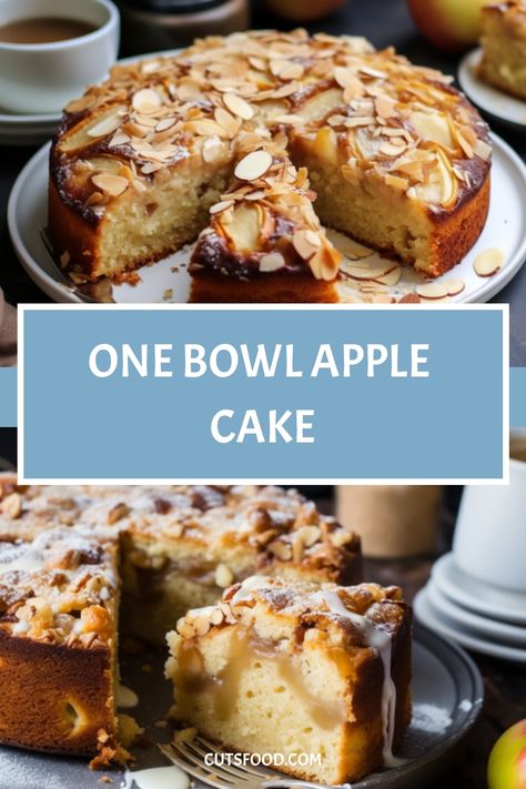 One Bowl Apple Cake One Bowl Apple Cake, Spiced Cake, Clean Eating Desserts, Apple Cake Recipes, Spice Cake, Moist Cakes, Gluten Free Cakes, Apple Cake, Paleo Dessert