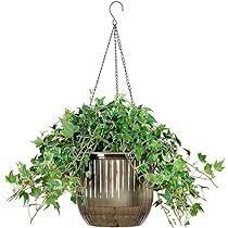 Hanging Pots For Plants, Plastic Hanging Planters, African Violet Pots, Watering Pot, Hanging Planters Indoor, Window Planters, Indoor Flower Pots, Self Watering Pots, Planter Indoor