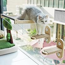 Cats Climbing, Cat Window Bed, Cat Jumping, Cat Window Hammock, Walking Cat, Cozy Hammock, Sky Walk, Cat Window Perch, Window Perch