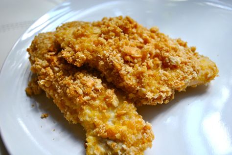 Ritz Crusted Tilapia Baked Tilapia Recipes, Ritz Cracker Recipes, Crusted Tilapia, Fish Recipes Baked, Baked Tilapia, Crush A, Fish Sticks, Tilapia Recipes, Savory Dishes