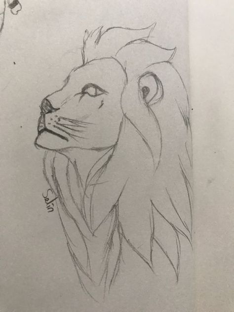 Asil aslan Coloring pages #coloringpages Coloring books #coloringbooks Coloring pages for kids #coloringpagesforkids Coloring pages for kids animals #coloringpagesforkidsanimals 1.722 Easy Lion Sketch, Lion Head Drawing Simple, Scaching Ideas, Loin Drawings, Lion Side Profile Drawing, Lion Sketch Pencil, Drawing Ideas Lion, Lion Sketch Simple, Lion Painting Easy