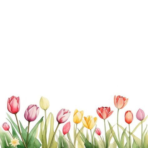 Flower Grass Drawing, Background Flowers, Grass Drawing, Beach Phone Wallpaper, Framed Plants, Watercolor Tulips, Tulips Flowers, School Themes, Facebook Cover Photos