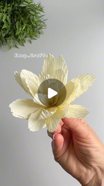 Crap Paper Flower, Creap Paper Flowers Diy, Paper Flowers Diy Book Pages, Krep Papir Flower, Small Tissue Paper Flowers Diy, Crepe Paper Lotus Flowers Diy, Handmade Paper Crafts, April 25, Crafts Ideas