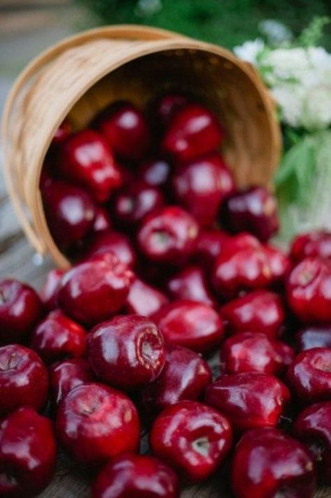 Red Delicious Apples, Apple Farm, Apple Season, Apple Of My Eye, Beautiful Fruits, Apple Apple, An Apple A Day, Apple A Day, Apple Harvest