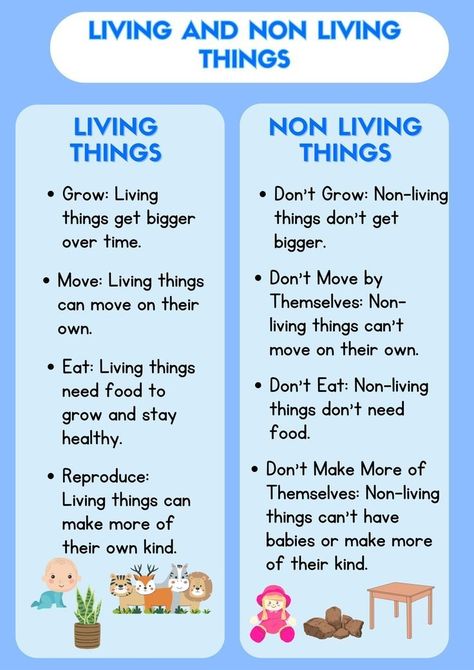 Living Non Living Things Worksheet, Living And Non Living Things Worksheets Grade 3, Living Things And Non Living Things Worksheet For Grade 1, Living Things Kindergarten, Living And Non Living Things Project, Living And Nonliving Activities, Living And Non Living Things Worksheets, Living Things And Non Living Things, Non Living Things