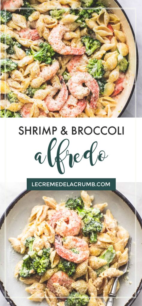 Shrimp Alfredo Pasta With Broccoli, Shrimp Brocolli Pasta Recipes, Shrimp Broccoli Noodles, Creamy Shrimp And Broccoli Pasta, Pasta Shrimp Broccoli Recipes, Shrimp And Broccoli Pasta Recipes Easy, Pasta With Shrimp And Broccoli, Shrimp Broccoli Alfredo Pasta, Broccoli And Shrimp Recipes