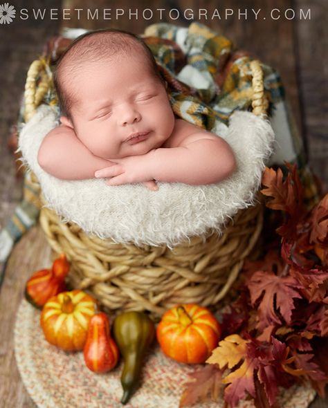 Ready for all the fall vibe babies! 🍁🌻🍂 Newborn sessions, family sessions, milestones, maternity, seniors, multi-generation - they all make my heart happy! To book your newborn session, keep reading below. For all your other photography needs, contact me directly! 📸❤️ www.ConnieHanks.com Sweet Me Photography @sweetmephotography specializes in newborn photography and brings the studio to the safety and convenience of your home. Check us out at https://sweetmephotography.com/ and submit an i... Fall Newborn Pictures Family, Fall Newborn Pictures, Baby Photoshoot Ideas, Baby Announcement Ideas, Babies Newborn, Announcement Ideas, Family Sessions, Newborn Pictures, Fall Photos