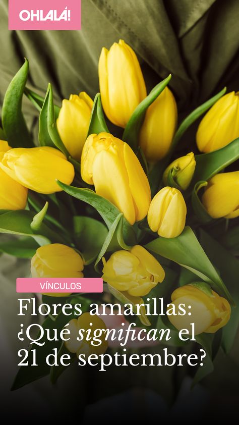 ¿Qué significan las flores amarillas que se regalan cada 21 de septiembre? El mágico significado de las “Flores Amarillas” en septiembre y su relación con Floricienta y un viral de TikTok. Lee la nota completa en somosohlala.com Candy, Crochet